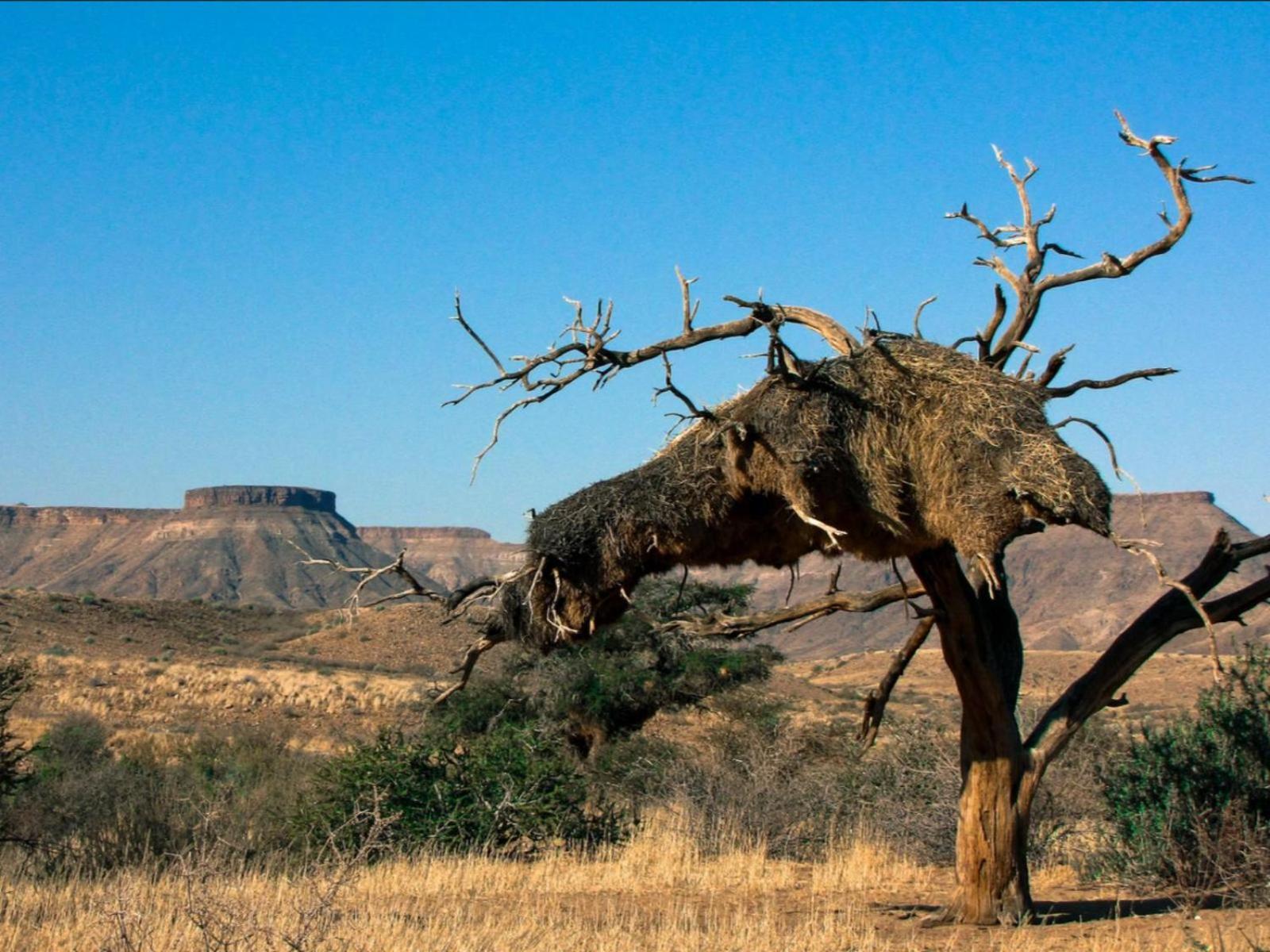 Mount Canyon Guest Farm Keetmanshoop Ngoại thất bức ảnh