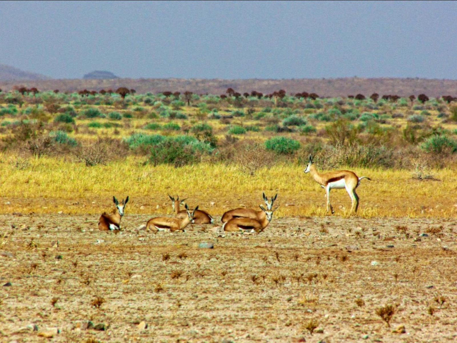 Mount Canyon Guest Farm Keetmanshoop Ngoại thất bức ảnh